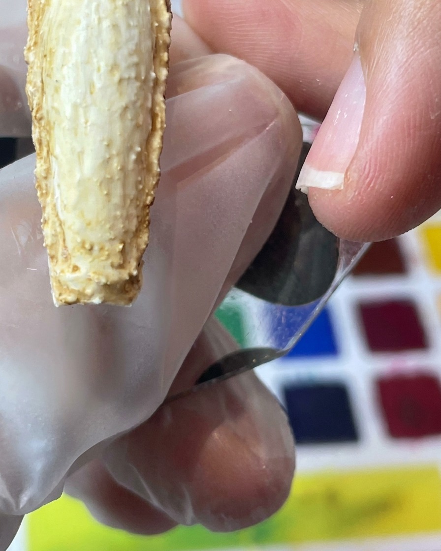 Eine Nahaufnahme zeigt einen Pinsel, der dunkelbraunes Pigment auf die strukturierten Nagelränder aufträgt.