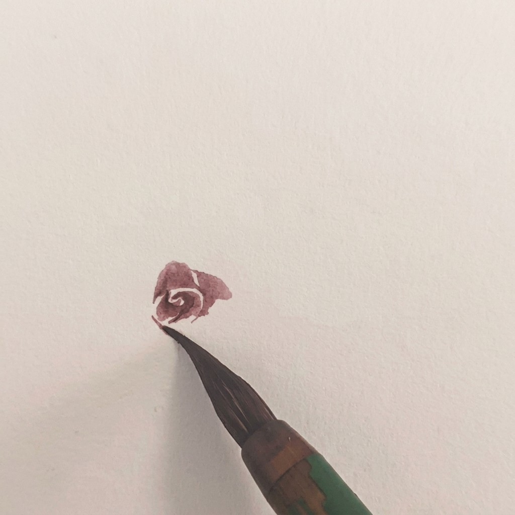 Die Aquarellrose hat eine zusätzliche Blütenblattschicht auf der linken Seite erhalten.