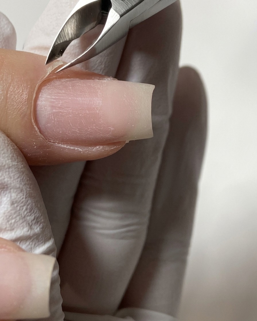 Eine Nahaufnahme von Nagelhautzangen aus Metall, die präzise gelöste, abgestorbene Haut um den proximalen Nagelwall herum kürzen.