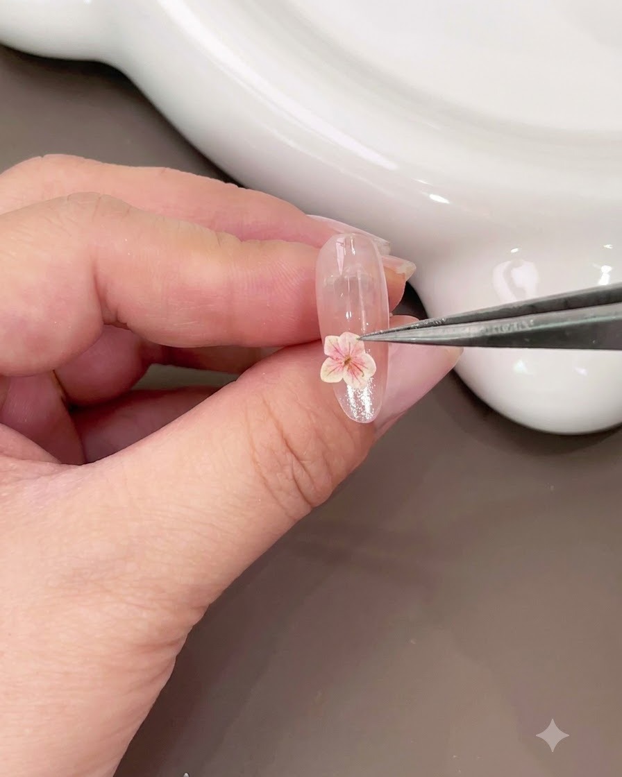 Eine Pinzette platziert eine kleine rosa Trockenblume auf dem unteren Bereich eines glänzenden Nagels.