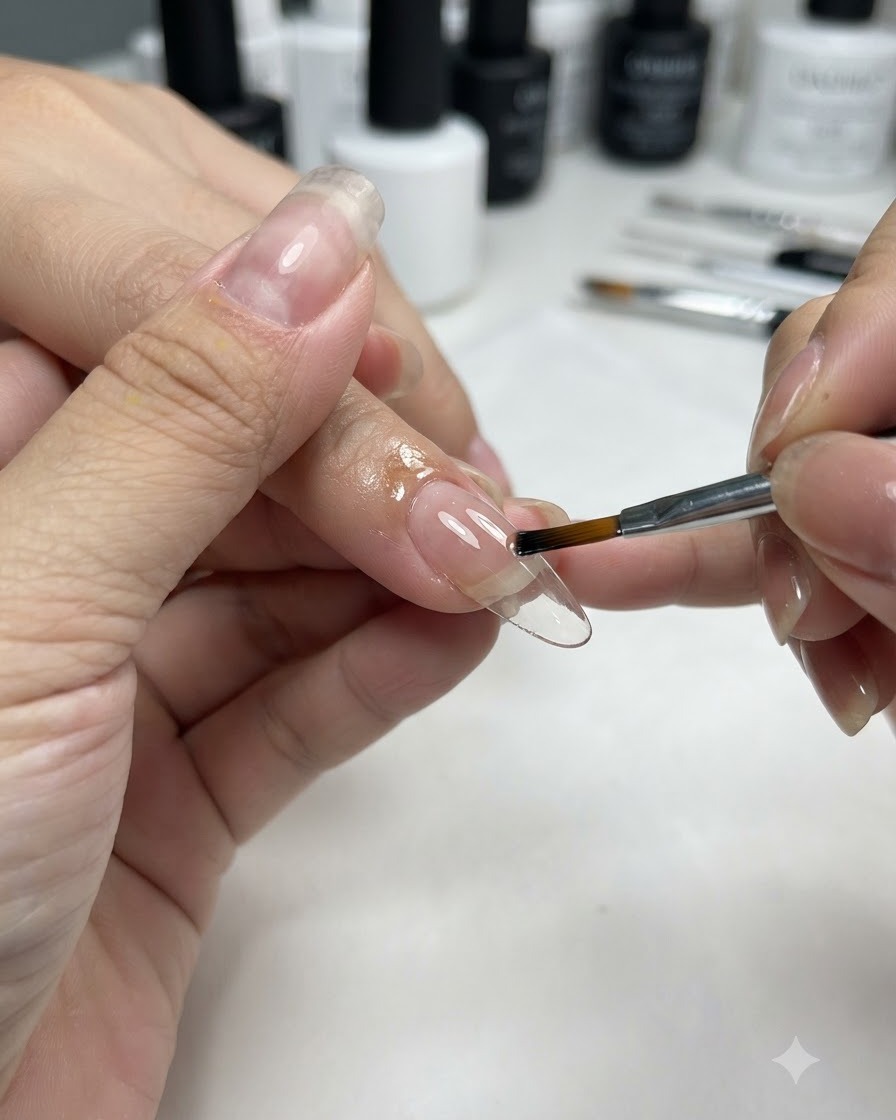 Ein Flachpinsel trägt ein transluzentes fleischrosa Gel auf eine vorbereitete Nagelverlängerung auf.