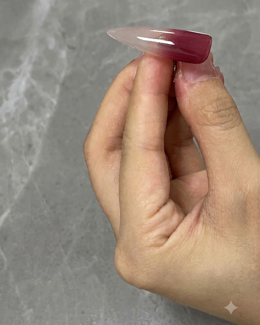 Ein transparenter Übungs-Nageltip zeigt einen weinroten Auftrag am oberen Abschnitt.